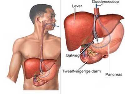 Gastro-entérologie